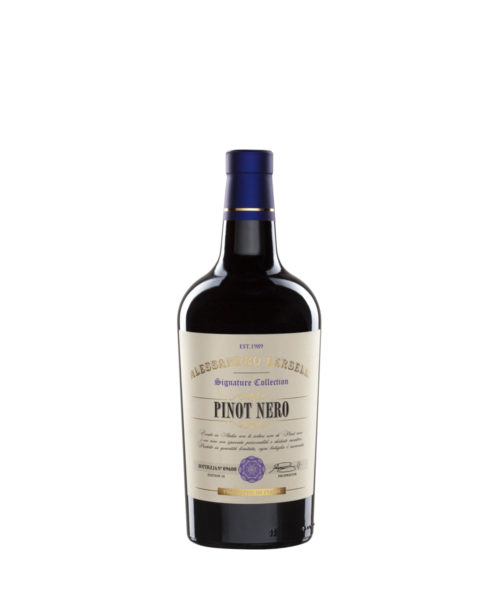 Pinot Nero | Provincia di Pavia I.G.T.