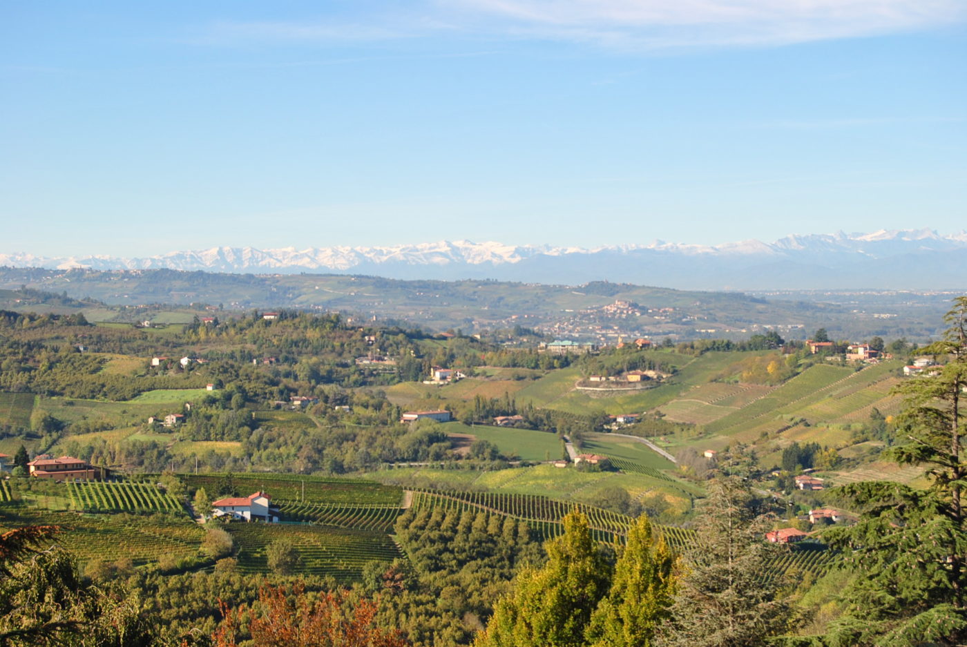 Wine for porcini mushrooms: territory