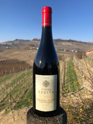 Red wine of Piedmont: Barbera D’Alba