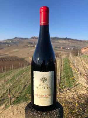 Vino rosso piemontese: Barbera D’Alba