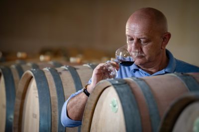 Winemaker: passion for wine and techniques 