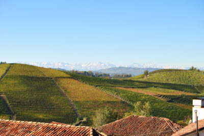 Barolo Wine Tenuta Arbéta 