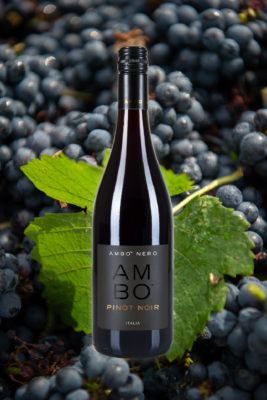 Best Pinot Noir wine ambo