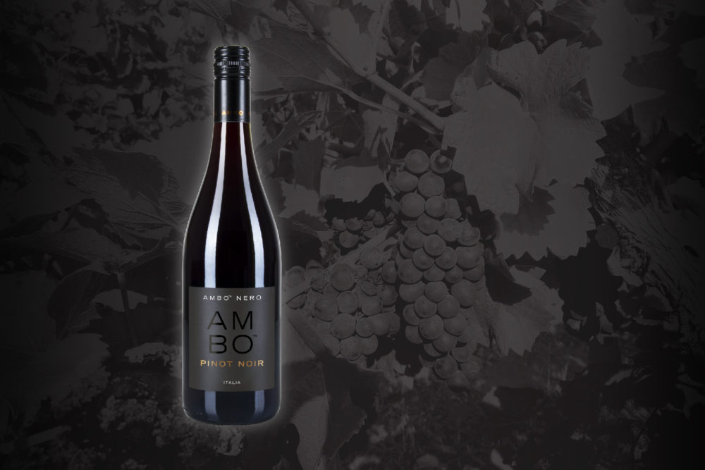 Best pinot noir wine all the novelties from New Zealand