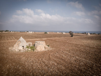 Primitivo wine puglia  